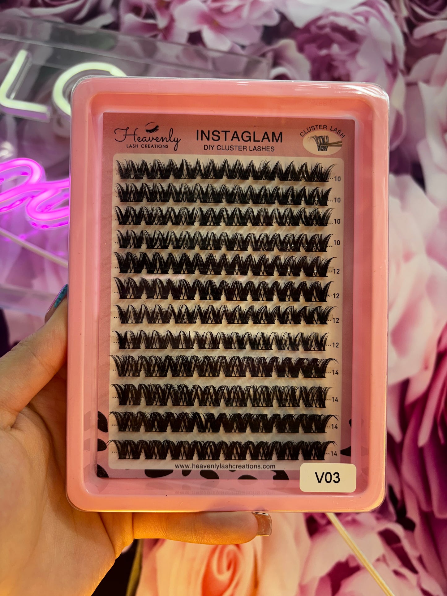 Cluster Trays